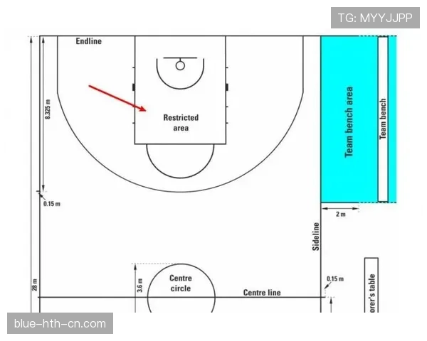 新手必看：NBA与FIBA罚球规则区别详解，帮你快速搞清不同体系